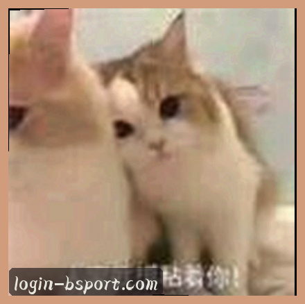 刚创业的王总