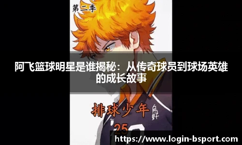 B体育官网
