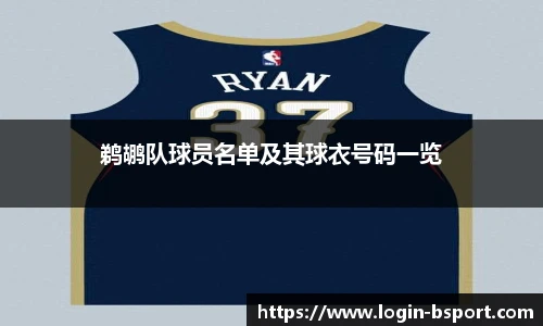 鹈鹕队球员名单及其球衣号码一览
