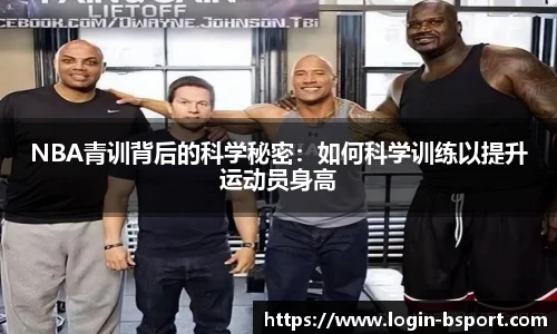 B体育平台