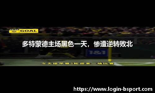 B体育