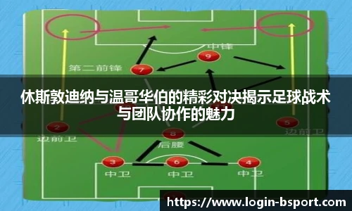 B体育官网
